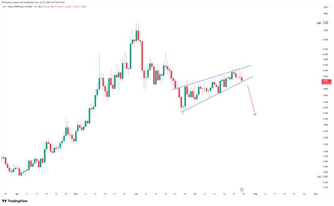 A TradingView daily candlestick chart of Injective ($INJ) showing price action from April through July 2024, with an ascending channel pattern drawn in blue and a red downward arrow projecting a bearish breakout, aligning with the post's prediction of a significant price decline.