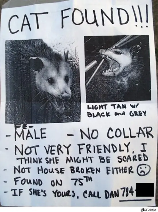 A handwritten 'CAT FOUND!!!' flyer with photos of a tan and black animal, listing details: male, no collar, not friendly, found on 75th, contact at 784-[redacted].