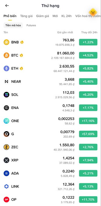 A Vietnamese-language cryptocurrency market ranking screen showing the top 'Tiền mã hóa' (Cryptocurrencies) including BNB at 763.86, BTC at 81,060.00, ETH at 2,630.55, and other altcoins with their 24-hour price changes.