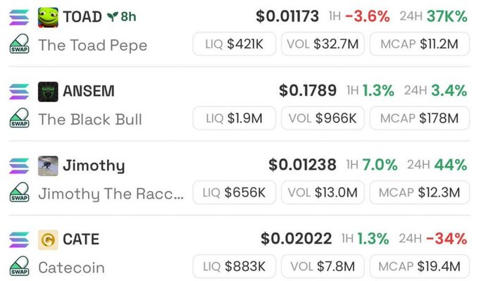 A cryptocurrency tracking dashboard displays four meme tokens—TOAD (The Toad Pepe) at $0.01173 with a 37K% 24-hour gain, ANSEM (The Black Bull) at $0.1789 up 3.4%, Jimothy at $0.01238 up 44%, and CATE (Catecoin) at $0.02022 down 34%—showing the caller's previously hyped picks that all delivered significant short-term gains, validating their self-promoted trading calls.