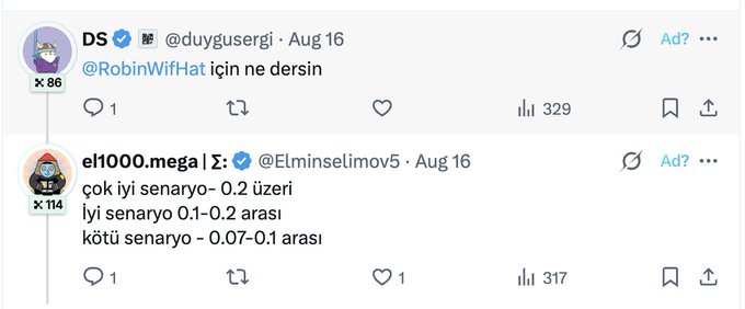 The image shows a X post thread by @duygusergi asking "What would you say for @RobinWifHat" with a reply from @ELminselimov5 detailing price scenarios (very good: above 0.2, good: 0.1-0.2, bad: 0.07-0.1), with 329 and 317 views respectively. The accompanying post reflects on how the predicted scenarios played out, noting both good and bad predictions occurred while remaining uncertain about buying or holding $RobinWifHat despite many others holding the token.