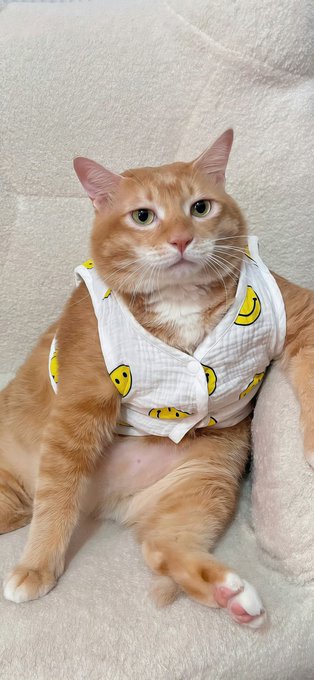 Orange tabby cat wearing a white button-up shirt with yellow smiley face patterns, sitting upright on a beige surface with one paw extended forward.