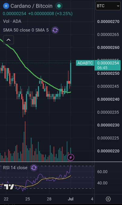 A TradingView candlestick chart showing the ADA/BTC (Cardano/Bitcoin) pair trading at 0.00000254, up 3.25%, with SMA 50 and RSI 14 indicators visible.
