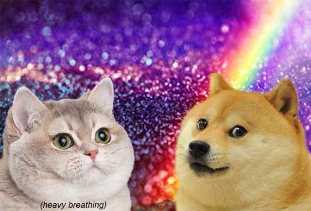 A meme image featuring a gray cat with the text '(heavy breathing)' next to a Shiba Inu dog with a rainbow and cosmic background.