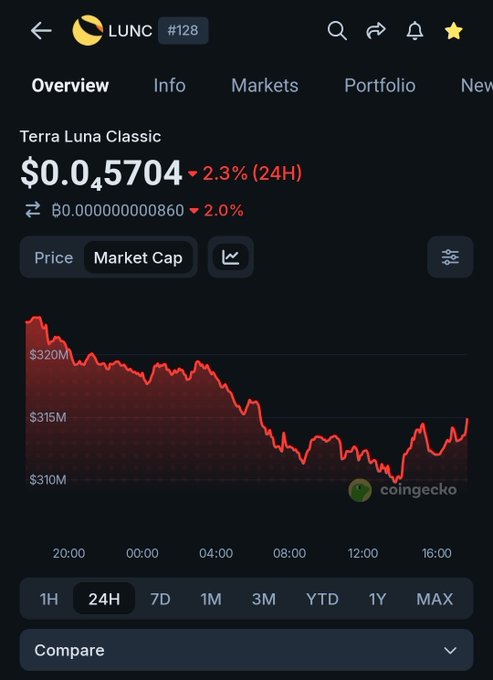 CoinGecko overview screen for Terra Luna Classic (LUNC #128) showing a price of $0.00005704 with a 2.3% 24-hour decline and a red market cap chart around $310-320M.