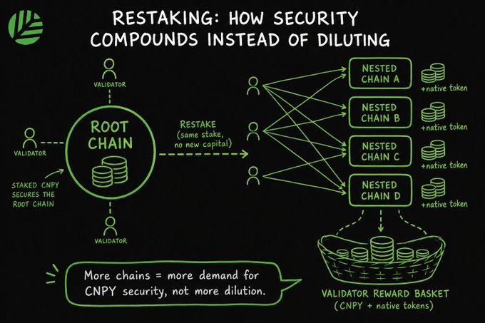 An educational diagram titled 'RESTAKING: HOW SECURITY COMPOUNDS INSTEAD OF DILUTING' explaining how staked CNPY secures a root chain and nested chains A-D, with the note 'More chains = more demand for CNPY security, not more dilution.'