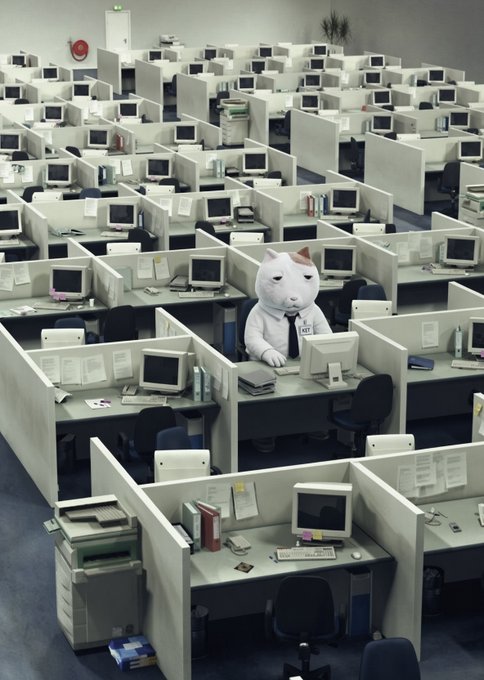A white cat mascot wearing a tie sits at a computer in a vast office filled with rows of cubicles and monitors.