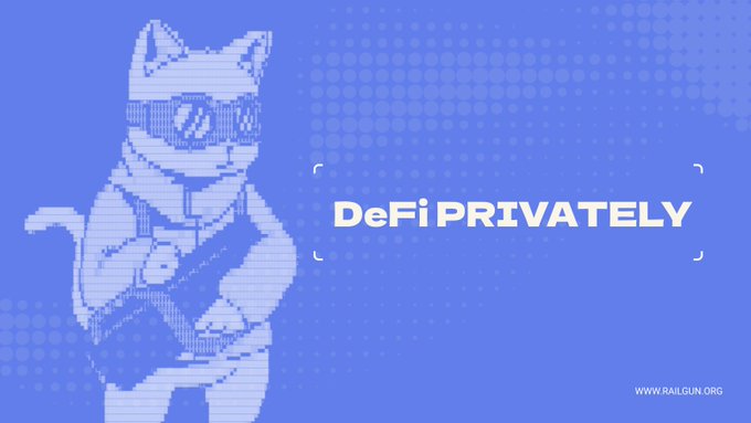A pixelated blue cat wearing sunglasses holds a clipboard beside the text "DeFi PRIVATELY" on a blue halftone background with "WWW.RAILGUN.ORG" displayed in the corner, visually reinforcing RAILGUN's message that privacy in Ethereum transactions is rare and urgently needed.