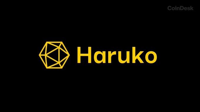 The image displays the yellow Haruko logo on a black background, featuring a geometric hexagon icon next to the company name, with a small "CoinDesk" watermark in the top right corner, illustrating the crypto technology firm that was reportedly targeted in a cyberattack exposing client API details, trading data, and resulting in the theft of a small amount of client funds across 15 affected clients.