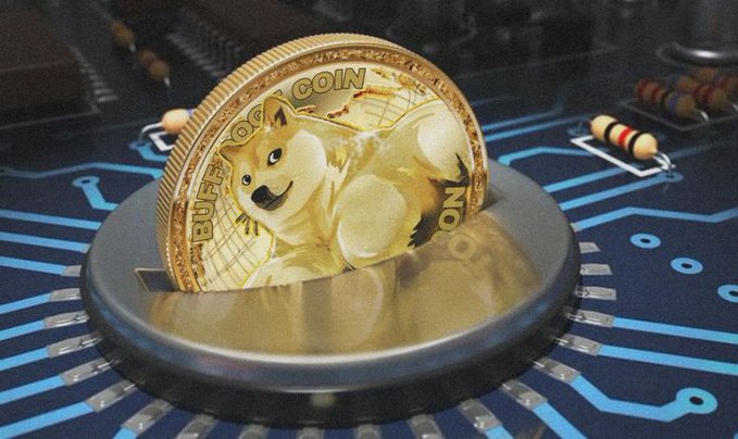 The image features a gold coin with a cartoon dog on it, placed inside a lock. The coin has a face on one side and the word "dog" written on the other side. The lock appears to be made of metal and is positioned in front of a blue circuit board.