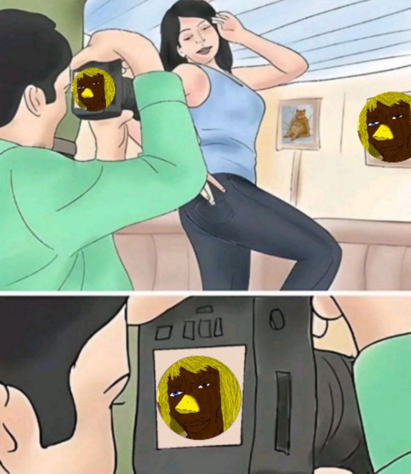A two-panel comic illustration where a photographer takes pictures of a woman, but the camera screen displays a yellow and brown creature instead of the subject.