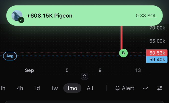 A crypto price chart showing '+608.15K Pigeon' at '0.38 SOL' with a dotted average line around 60.53k-59.40k over a 1-month period in September.