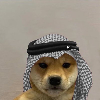 A Shiba Inu dog wearing a black and white checkered keffiyeh-style headscarf with a black agal cord around it, photographed against a plain gray background.