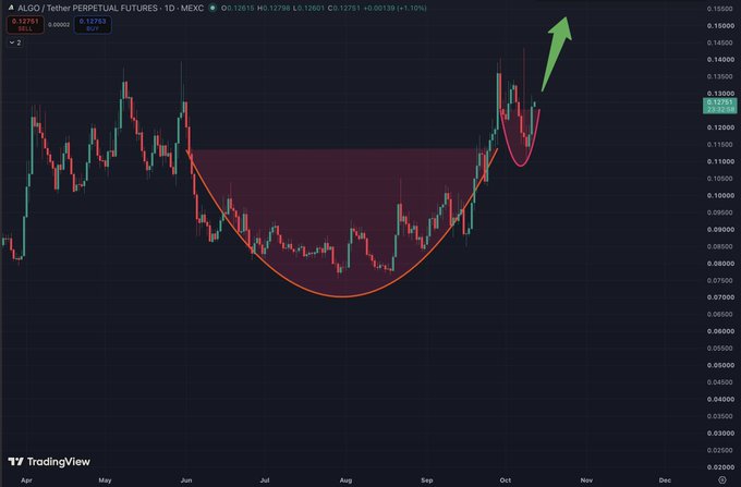 A TradingView daily candlestick chart for "ALGO / Tether PERPETUAL FUTURES" on MEXC shows a large cup-and-handle pattern highlighted in orange and pink, with a green arrow pointing upward indicating a bullish breakout.