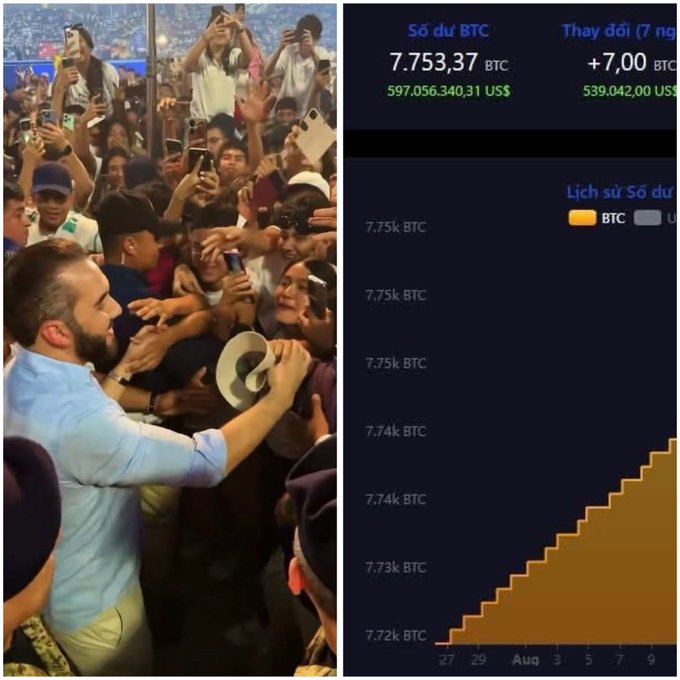 A split image: on the left, a man with a megaphone reaching into an excited crowd at a sporting event; on the right, a BTC (Bitcoin) wallet dashboard showing a balance of 7.753,37 BTC ($597,056,340.31) with a 7-day balance history chart trending upward.