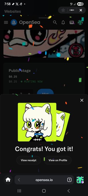 A mobile screenshot from OpenSea.io showing a successful NFT mint on 'PublicStage' with a 'Congrats! You got it!' message featuring a cartoon cat character.