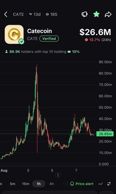 A screenshot of the Catecoin (CATE) cryptocurrency chart showing a market cap of $26.6M with a 13.7% 24-hour decline, illustrating one of the "cat" meme coins the post references as being down over 50% from its peak of around $90M. The chart visually emphasizes the significant drop the poster is betting on recovering with their all-in $100K position.
