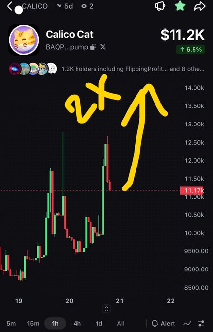 A mobile trading chart showing the CALICO meme token at $11.2K, up 6.5%, with 1.2K holders and hand-drawn yellow arrows pointing upward across the candlestick price action.