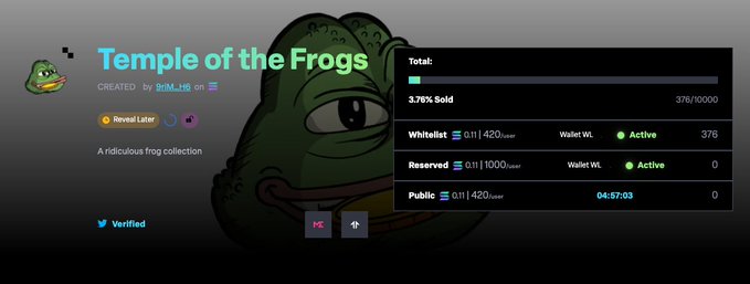 An NFT collection page on Magic Eden titled 'Temple of the Frogs' created by user 'anon', showing a Pepe the Frog image, '3.76% Sold' (376/10000), and a whitelist sale countdown of 04:57:03.