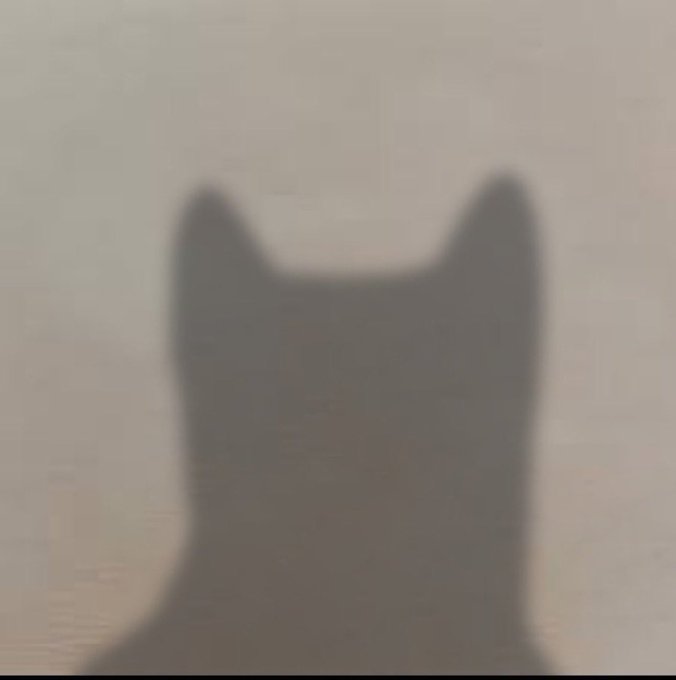 A blurry silhouette of a dog's head and ears against a pale background, representing an unidentified cryptocurrency token with no name or ticker, only a contract address (Gt9brNVXP7gdGtUqZLcJAhbZTjLEcKrA53F18fRSEeAp).