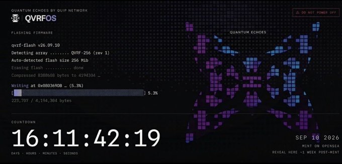 A dark interface titled 'QUANTUM ECHOES BY QVIR NETWORK' showing a firmware flashing progress bar at 5.3% and a countdown of 16:11:42:19.