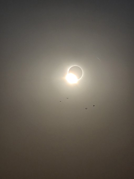 A photograph of a total solar eclipse in progress, showing the bright sun partially obscured by the dark moon against a dim sky with a few birds visible.
