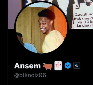 The image shows a Twitter profile for "Ansem" (@blknoiz06) with a photo of a smiling young man and Chinese characters in the display name. The profile picture and crypto-influencer username relate to the accompanying post, which expresses the user's frustration with meme coins lacking utility being treated as legitimate investments in the crypto space.