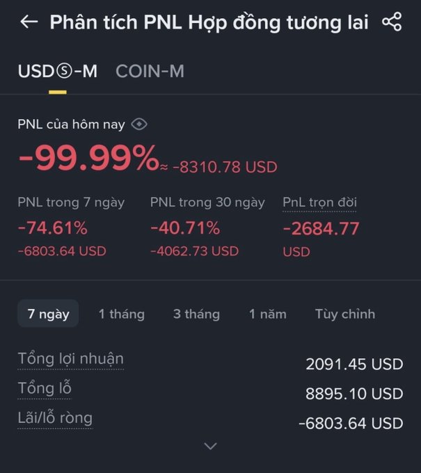A Binance futures PNL analysis screen in Vietnamese showing devastating losses: today's PNL at -99.99% (-8310.78 USD), 7-day PNL -74.61% (-6803.64 USD), 30-day PNL -40.71% (-4062.73 USD), with total profit 2091.45 USD and total loss 8895.10 USD.