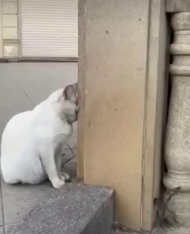None
