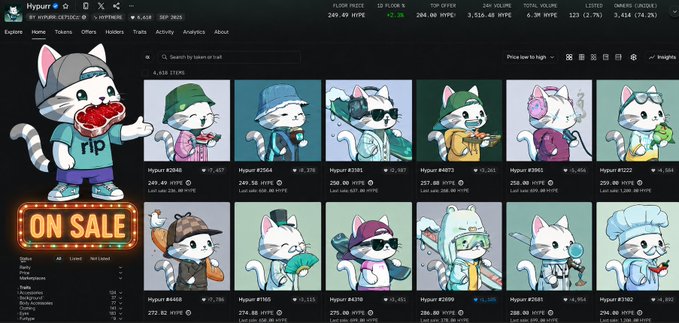 A screenshot of an NFT marketplace showing a collection called 'Hypurr' on the 'HYPERLIQUID (HYPE/USD)' network, featuring various cat-themed profile pictures and an 'ON SALE' neon sign.