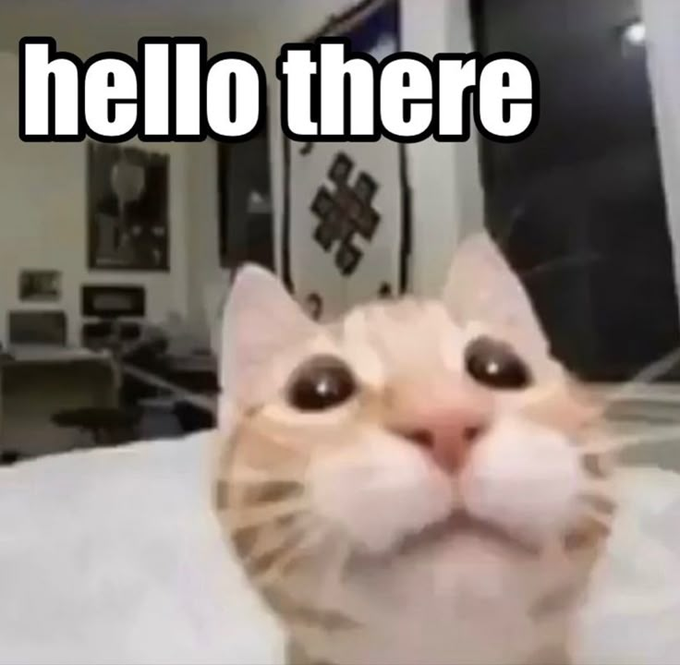 The image shows a cat with an orange coat sitting near a window in a room. The cat appears to be looking towards something outside, possibly engaging viewers with its expression and curiosity.