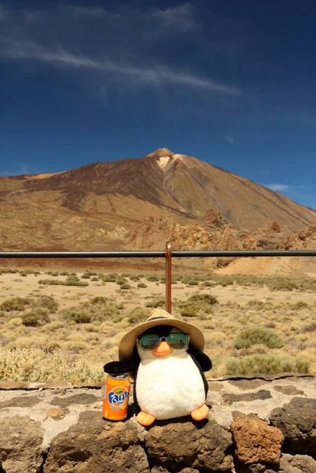 A plush penguin wearing a beige hat and sunglasses sits on a stone wall next to a Fanta can, with a dramatic volcanic mountain landscape under a blue sky in the background, resembling Mount Teide.