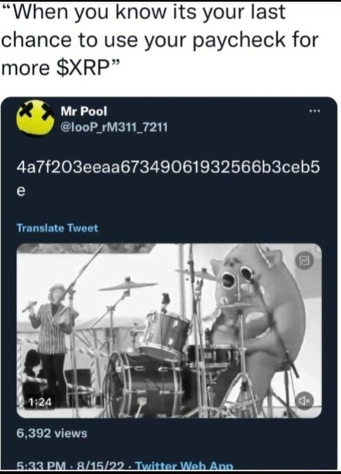 A meme featuring a quote 'When you know its your last chance to use your paycheck for more $XRP' above a tweet from 'Mr Pool' containing a cryptocurrency address and a video of a frog playing drums.