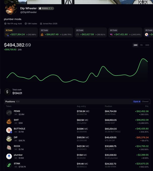 The image displays a crypto wallet screenshot for "Dip Wheeler" (@DipWheeler) showing a portfolio worth $494,382.69 with a +$59,735.02 24h gain, featuring position holdings in tickers including PENIS, SHIT, BUTTHOLE, DIP, ROCK, plumber, and STINK. The screenshot humorously confirms the post's claim that the top three holdings are the crude meme tokens $PENIS (+$62,452.38), $SHIT (+$66,852.09), and $BUTTHOLE (+$45,425.80), validating the criticism about the wallet's lack of taste despite reaching a near half-million dollar portfolio.