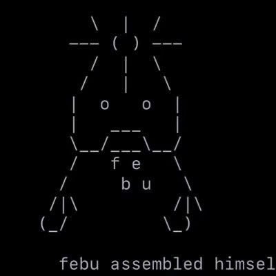 The ASCII art image depicts a character that says "febu assembled himself" below, mirroring the text "$febu" and "febu" from the accompanying post.