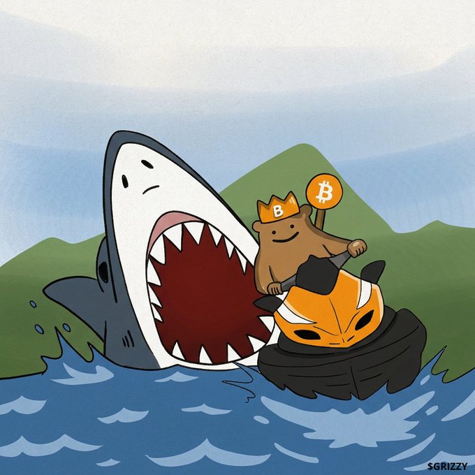 A cartoon illustration shows a character wearing a crown and 'Bitcoin' (₿) hat riding an orange ATV away from a massive shark with its jaws open in the water, with 'SGRIZZY' signed in the corner.