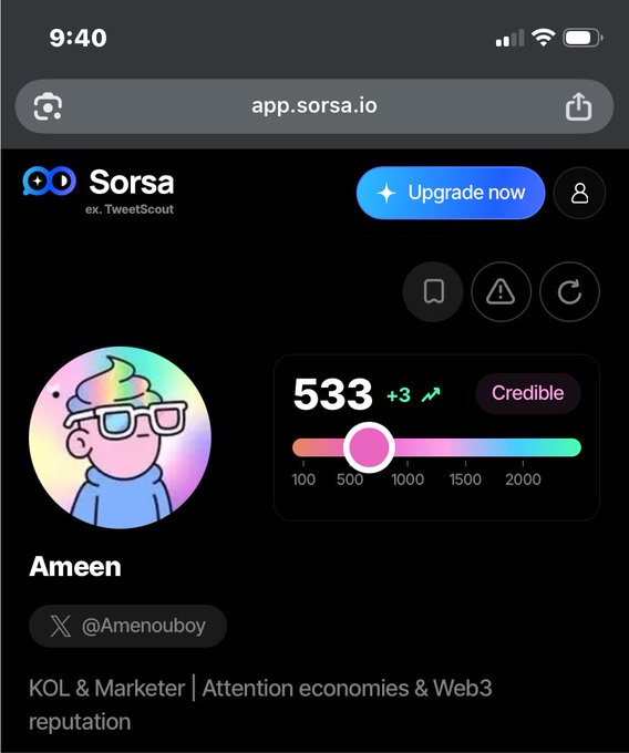 A screenshot of the app.sorsa.io (ex. TweetScout) website displaying a user profile for "Ameen" (@Amenouboy) with a Credible score of 533.