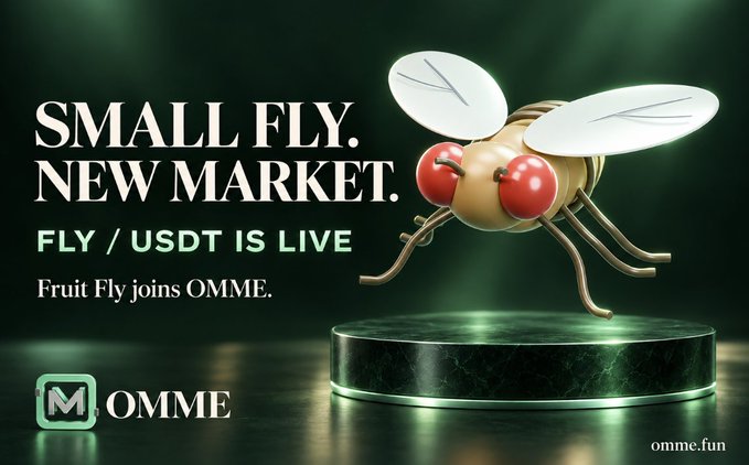 A promotional graphic for OMME exchange features a 3D-rendered cartoon fruit fly with large red eyes and translucent wings hovering above a green-lit marble podium, with text announcing "SMALL FLY. NEW MARKET." and "FLY / USDT IS LIVE — Fruit Fly joins OMME." alongside the OMME logo and omme.fun URL, visually supporting the launch of the new $FLY synthetic commodity trading pair.