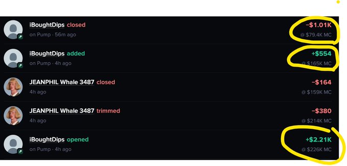 A trading app interface shows user activity, highlighting transactions from "iBoughtDips" and "JEANPHIL Whale 3487" with circled gains/losses in Solana (SOL).