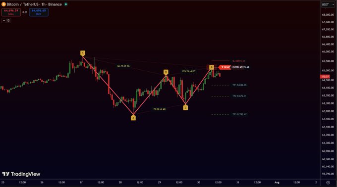 A TradingView cryptocurrency chart for the Bitcoin / TetherUS pair showing a 1-hour price of 44,496.53 USD, with red technical analysis lines, percentages, and labels indicating a bearish pattern.