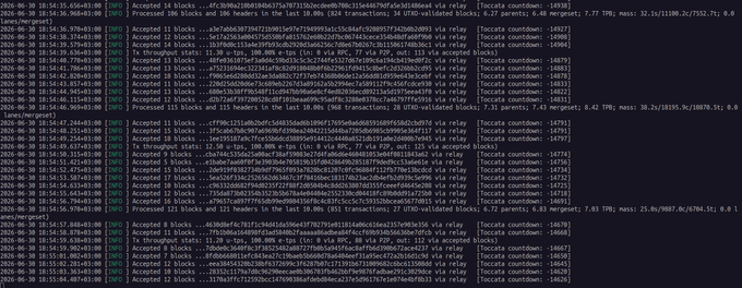 A terminal/console screenshot showing mining logs for Kaspa with timestamps, accepted blocks, transaction counts, and network statistics like TPS and difficulty.