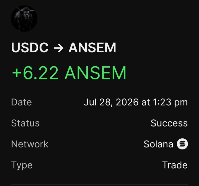 A cryptocurrency transaction confirmation screen showing a successful trade of USDC to +6.22 ANSEM on the Solana network dated July 28, 2026.