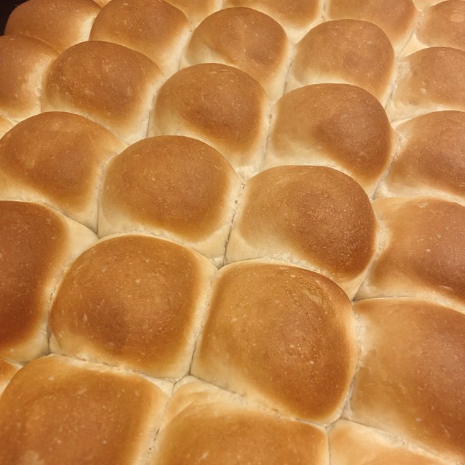 Close-up photograph of freshly baked dinner rolls or buns arranged in rows with golden-brown tops.