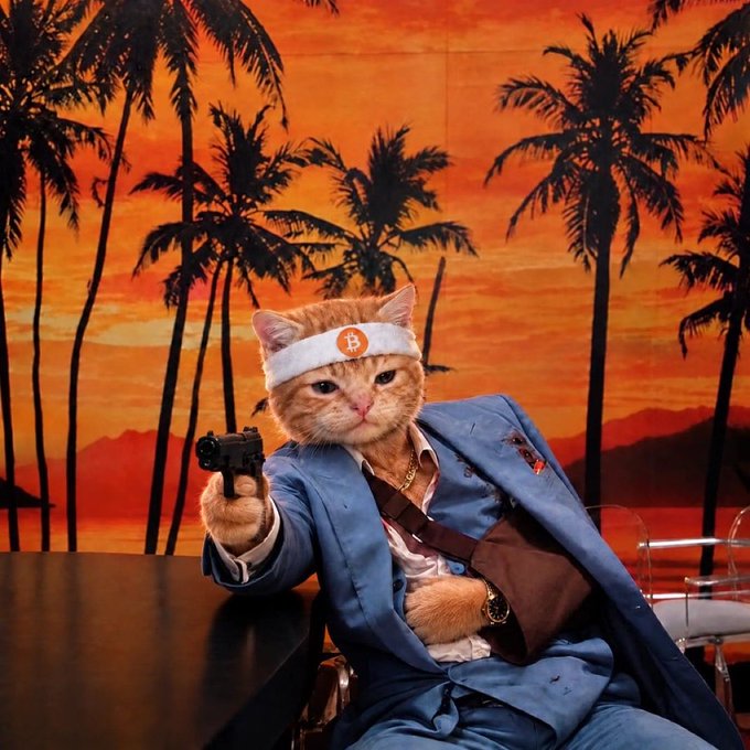 An orange tabby cat dressed in a blue suit with a white headband featuring the Bitcoin "₿" logo points a pistol at the camera, set against a tropical sunset backdrop with palm trees — embodying the aggressive "bull" spirit of the crypto market in a humorous, action-movie fashion.