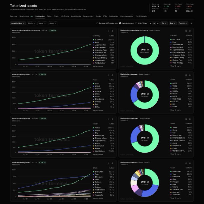 A complex financial dashboard titled 'Tokenized assets' displaying multiple charts tracking asset holders by reference currency, asset, issuer, and chain, with US Dollar, USDT, Tether, and BNB Chain dominating.