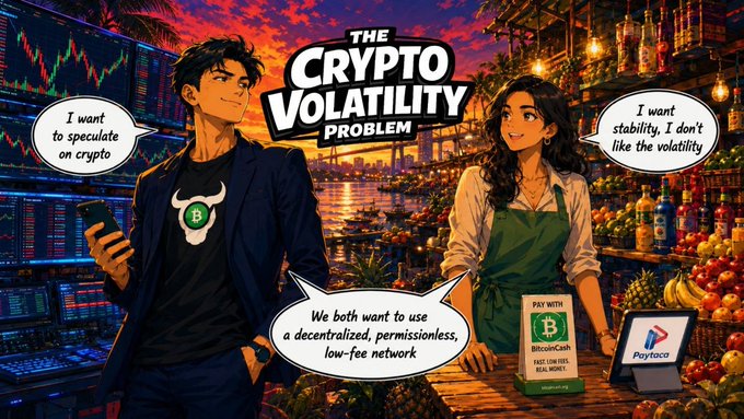 An anime-style illustration titled 'THE CRYPTO VOLATILITY PROBLEM' showing a man on the left saying 'I want to speculate on crypto' and a woman on the right saying 'I want stability, I don't like the volatility,' with a shared caption 'We both want to use a decentralized, permissionless, low-fee network' alongside Bitcoin Cash and Paytaca logos.