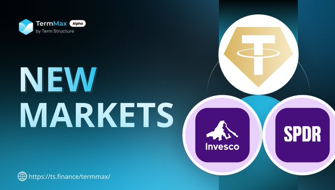 A promotional graphic for 'TermMax Alpha by Term Structure' announcing 'NEW MARKETS' featuring logos for Tether, Invesco, and SPDR, with the URL 'https://ts.finance/termmax/'.