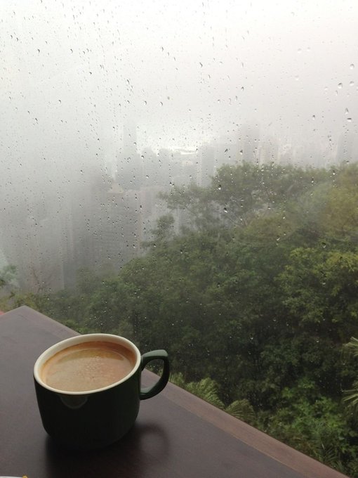 A cup of coffee on a windowsill with rain droplets, overlooking a misty cityscape and lush greenery on an overcast morning—a contemplative start to a day promising crypto opportunities.