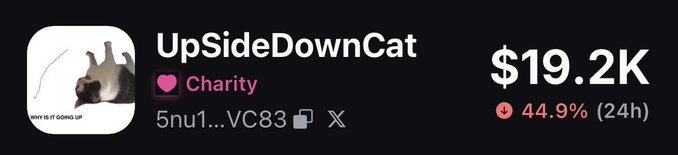 The image shows a cryptocurrency profile for "UpSideDownCat," a Charity token on the Solana blockchain with contract address 5nu1...VC83, displaying a market cap of $19.2K and a 44.9% increase in the last 24 hours. The cat logo appears to be flipping upside down, matching the "UpSideDownCat" name, while the accompanying post highlights its 100x USDC pairing and charity mission.