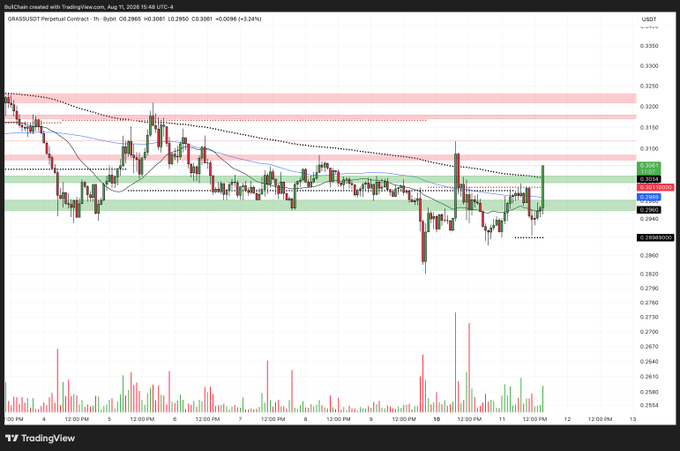 A TradingView chart displays the 1-hour price action of GRASS/USDT perpetual contract on BYBIT, showing a recent bullish breakout from the $0.30–$0.3051 resistance zone with a current price of $0.3061 (+3.24%). The chart's volatility and upward momentum visually echo the post's playful reminder to "water your $GRASS," suggesting active growth and cultivation of the asset.